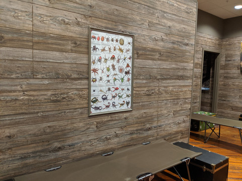 Play It Out Escape Room-Souderton必去景点