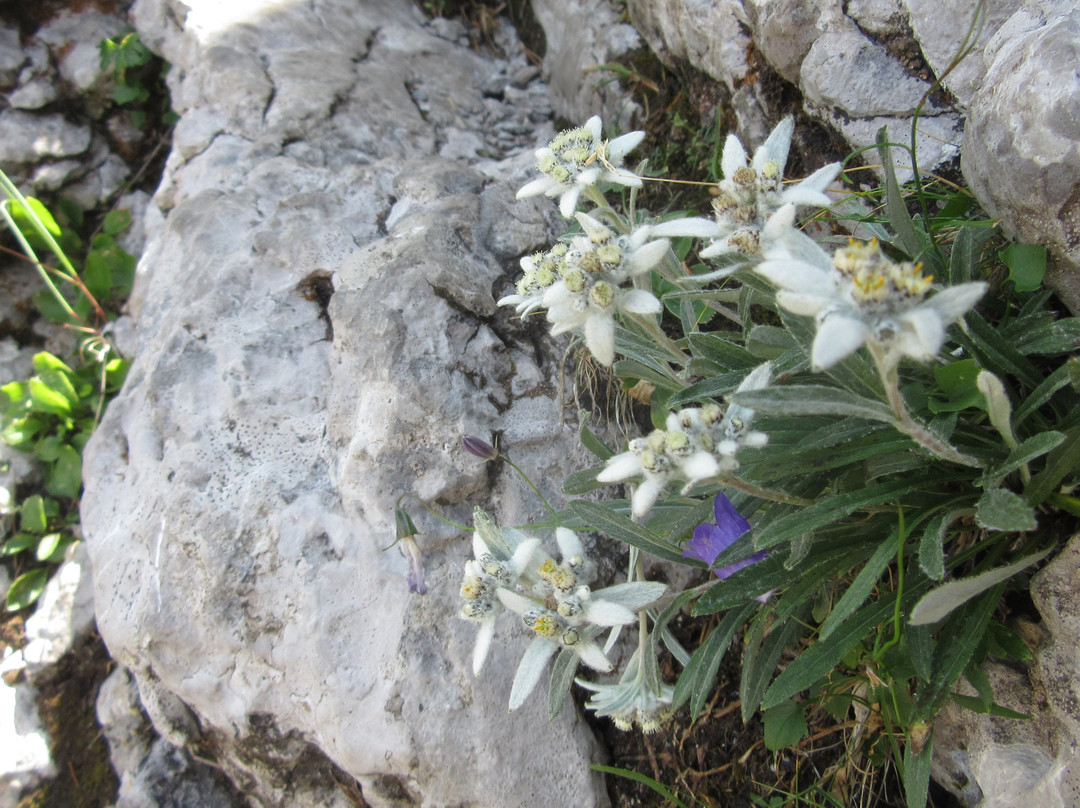 Bijele & Samarske Stijene景点图片