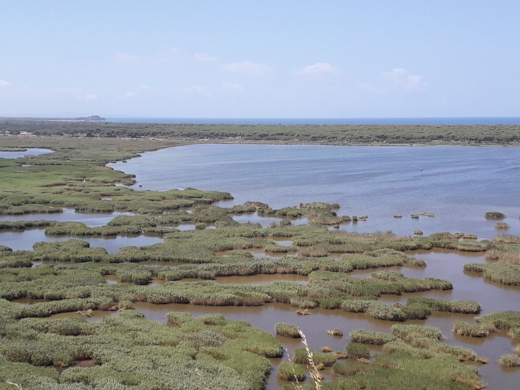National Park of Kotychi and Strofylia Wetlands景点图片