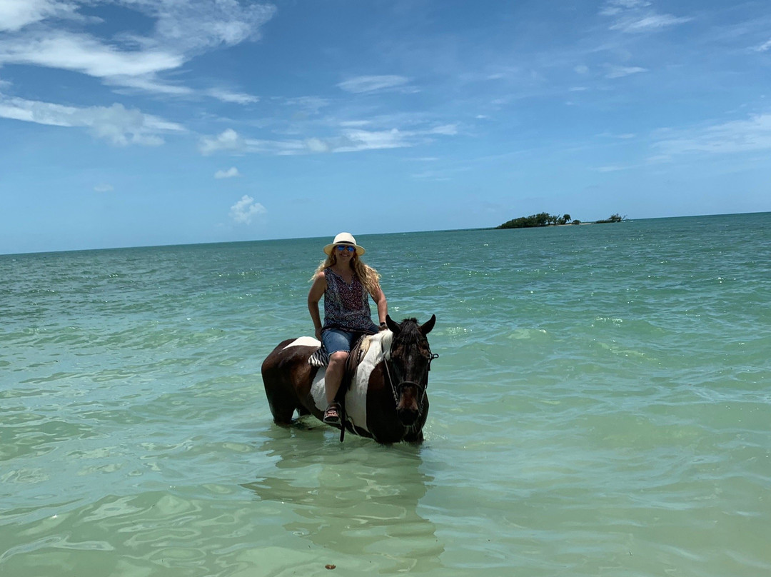 Happy Trails Stables-Coral Harbour必去景点