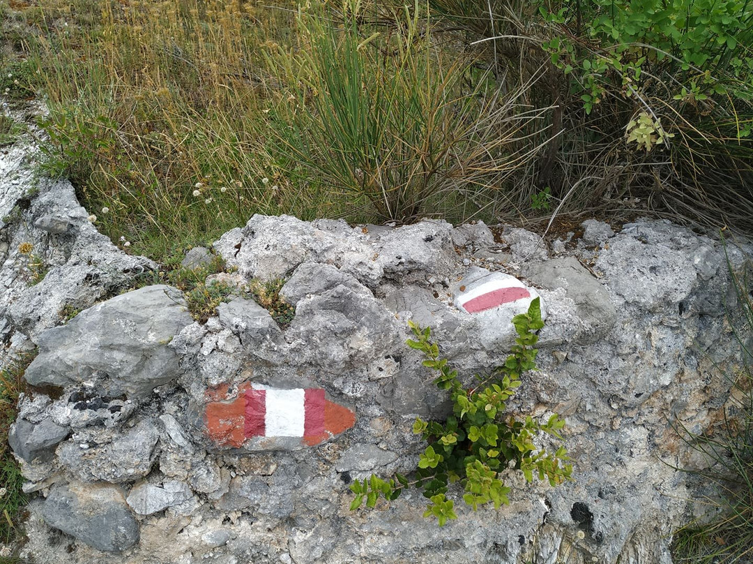 Ruderi del Monastero di Colloreto-Morano Calabro必去景点
