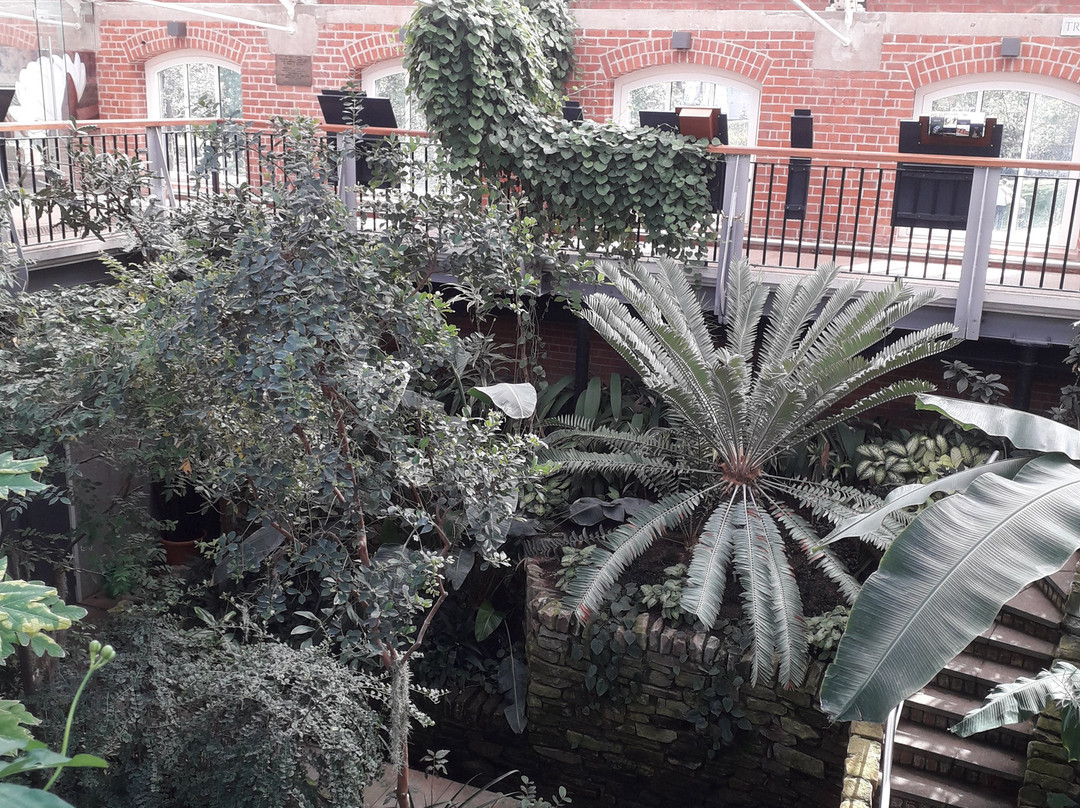 The Tropical Ravine House-贝尔法斯特必去景点