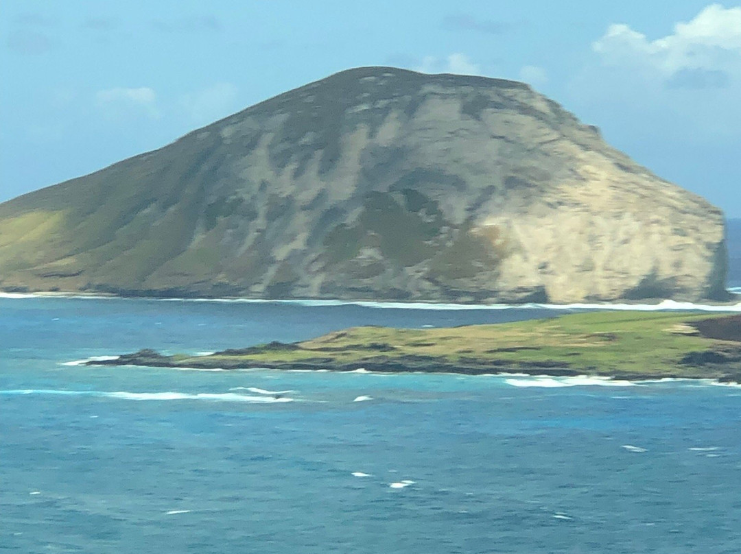 North Shore Tours & Beach Bus-火奴鲁鲁必去景点