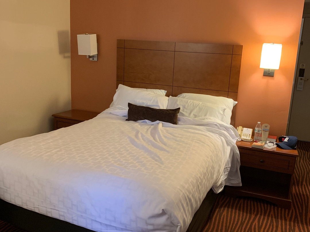 Best Western Executive Hotel of New Haven-West Haven主图