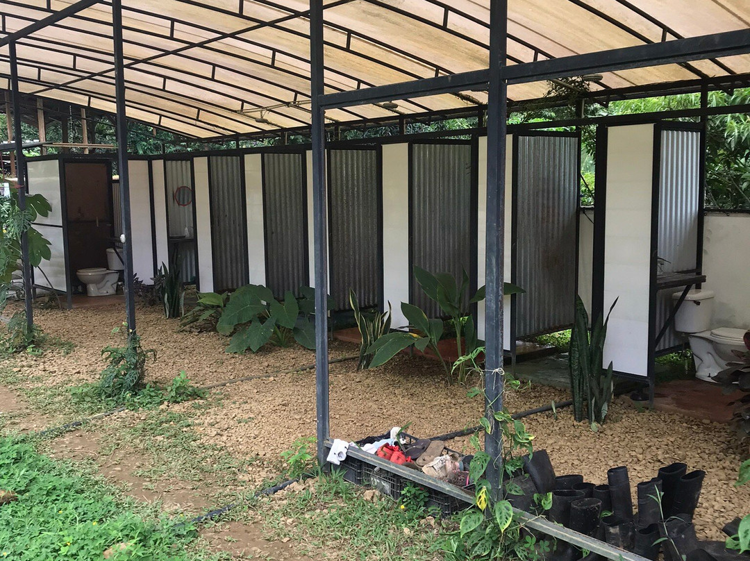 Bolita Rainforest Hostel
