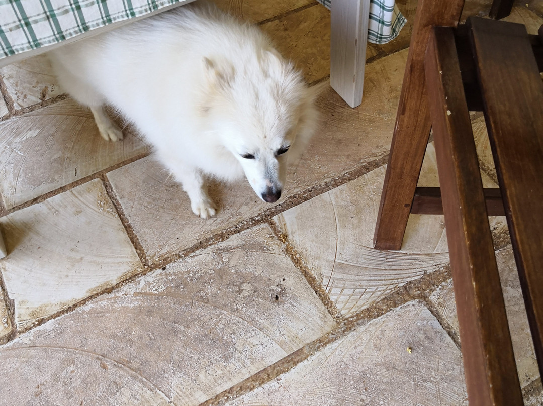 Masseria Asciano主图