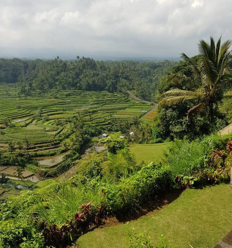 Mahagiri Panoramic Resort & Restaurant主图