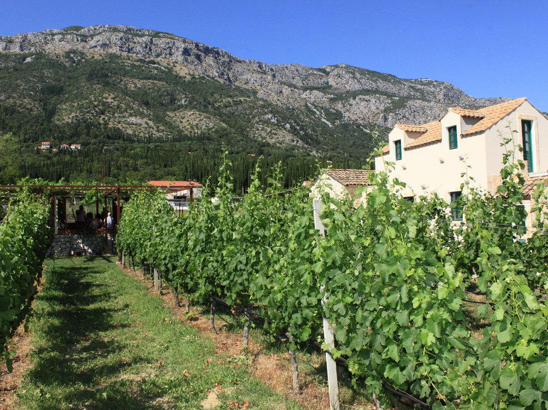 Wine Bar Vodopic景点图片