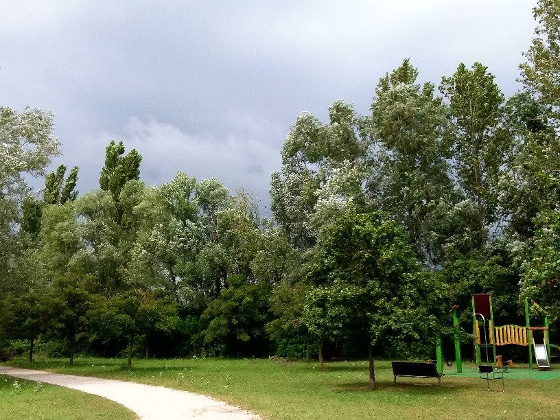 Parco Urbano G. Bassani景点图片