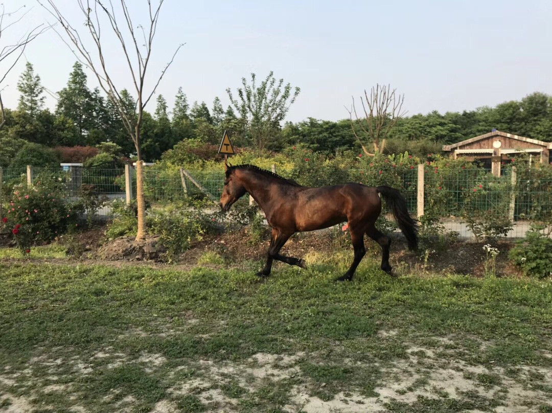 西芦园-太仓市必去景点