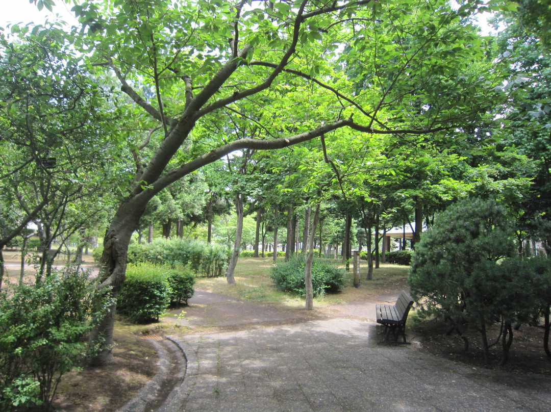 Aoimori Park景点图片