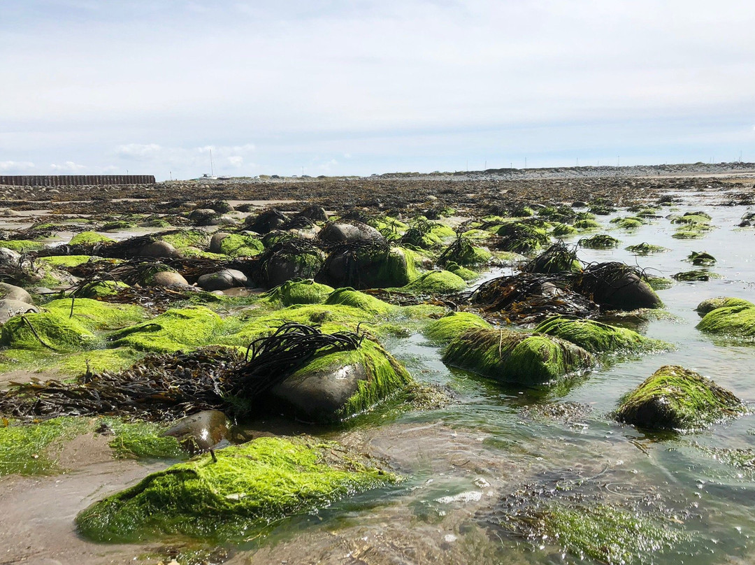 Llandanwg Beach景点图片