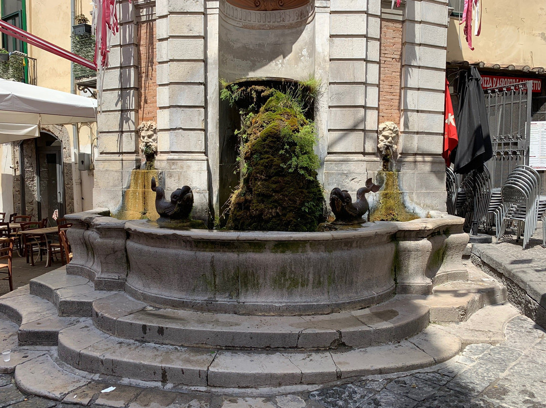 Fontana Dei Pesci Del Vanvitelli景点图片