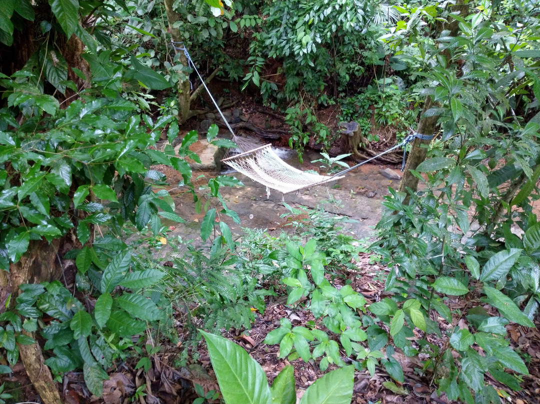 Waterfall Villas主图