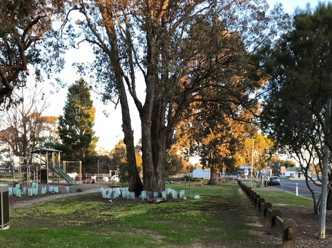 Glengarry Park-Glengarry必去景点