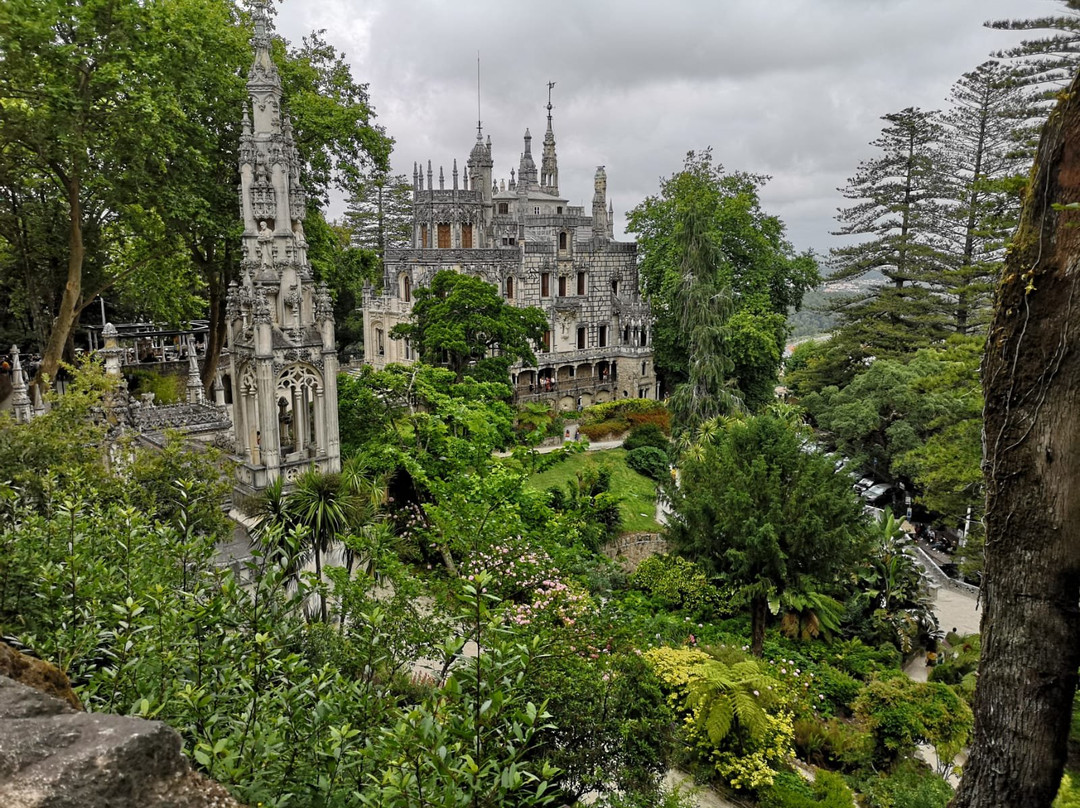 Mr Driver-塞新布拉必去景点