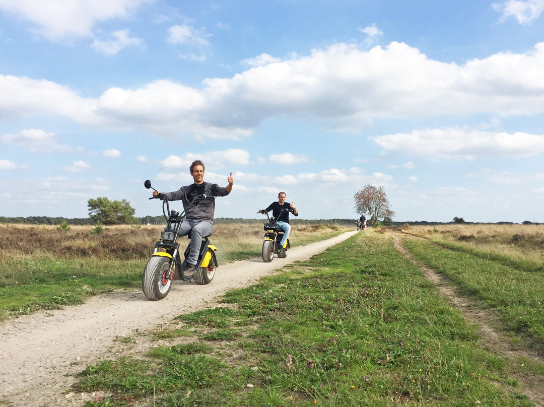 Veluwe Specialist Harderwijk景点图片