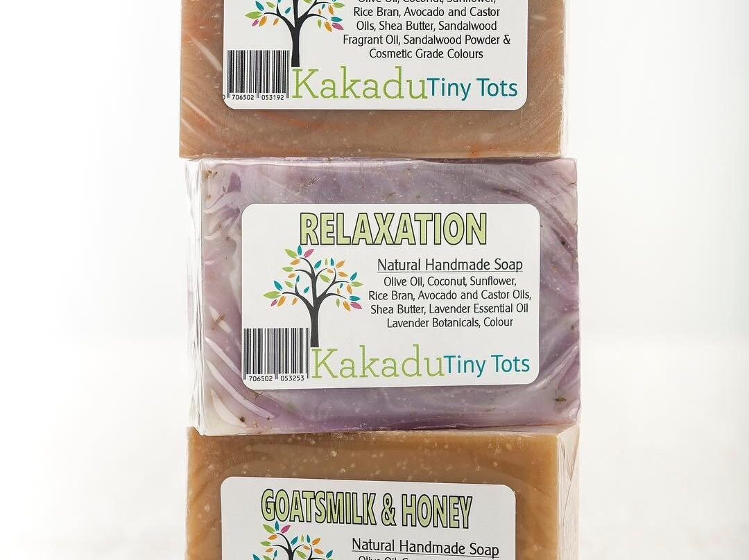 Dingo Dreaming-Blyth必去景点