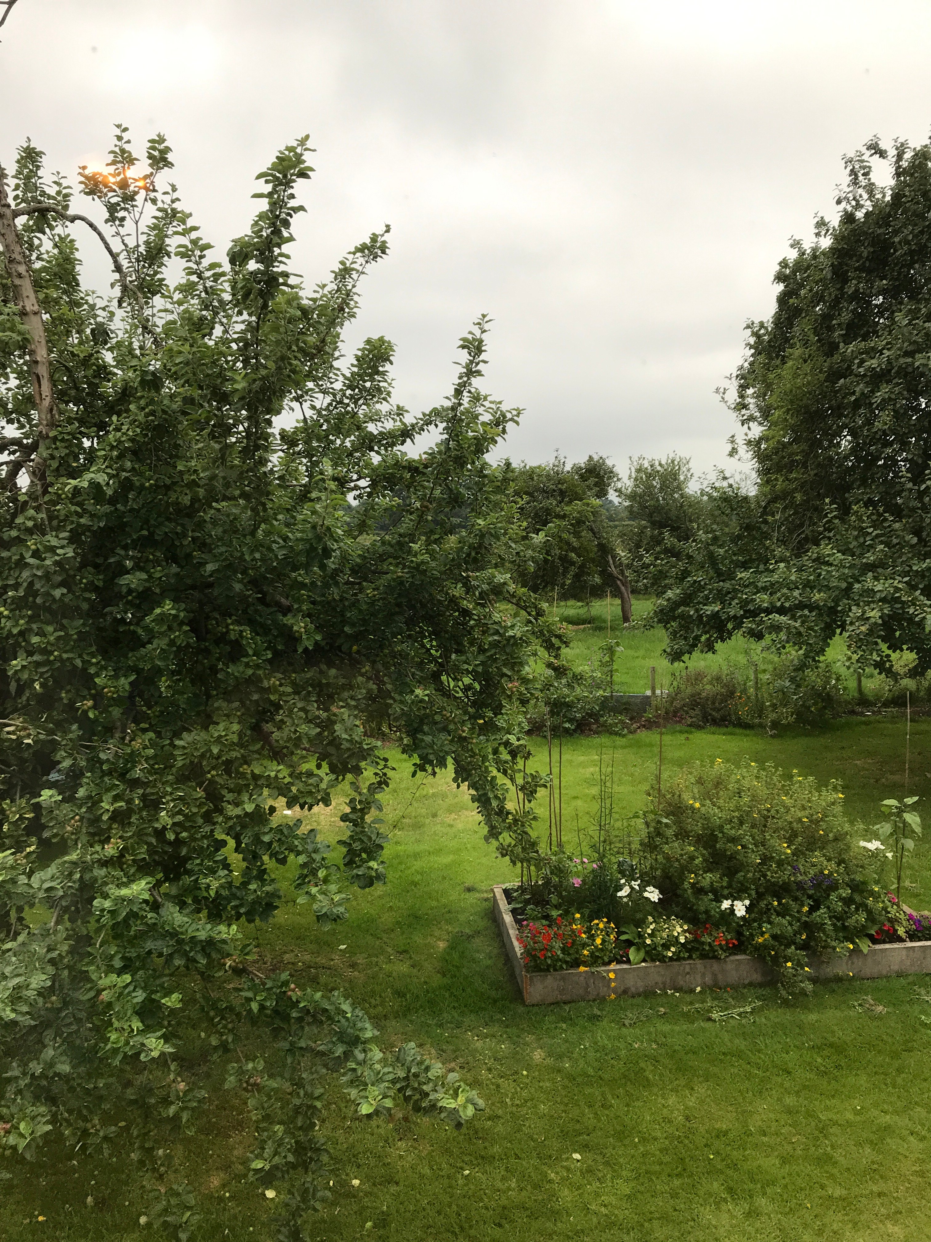 Lower Farm Bed and Breakfast-官方