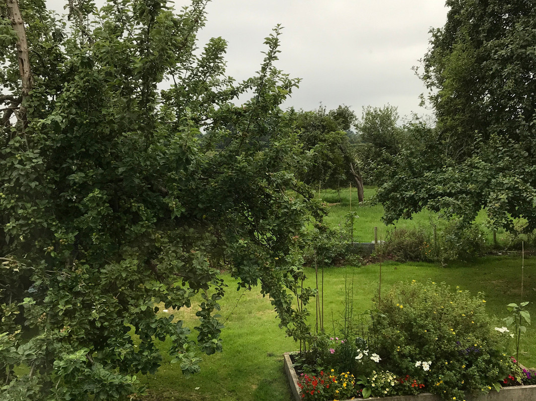 Lower Farm Bed and Breakfast主图