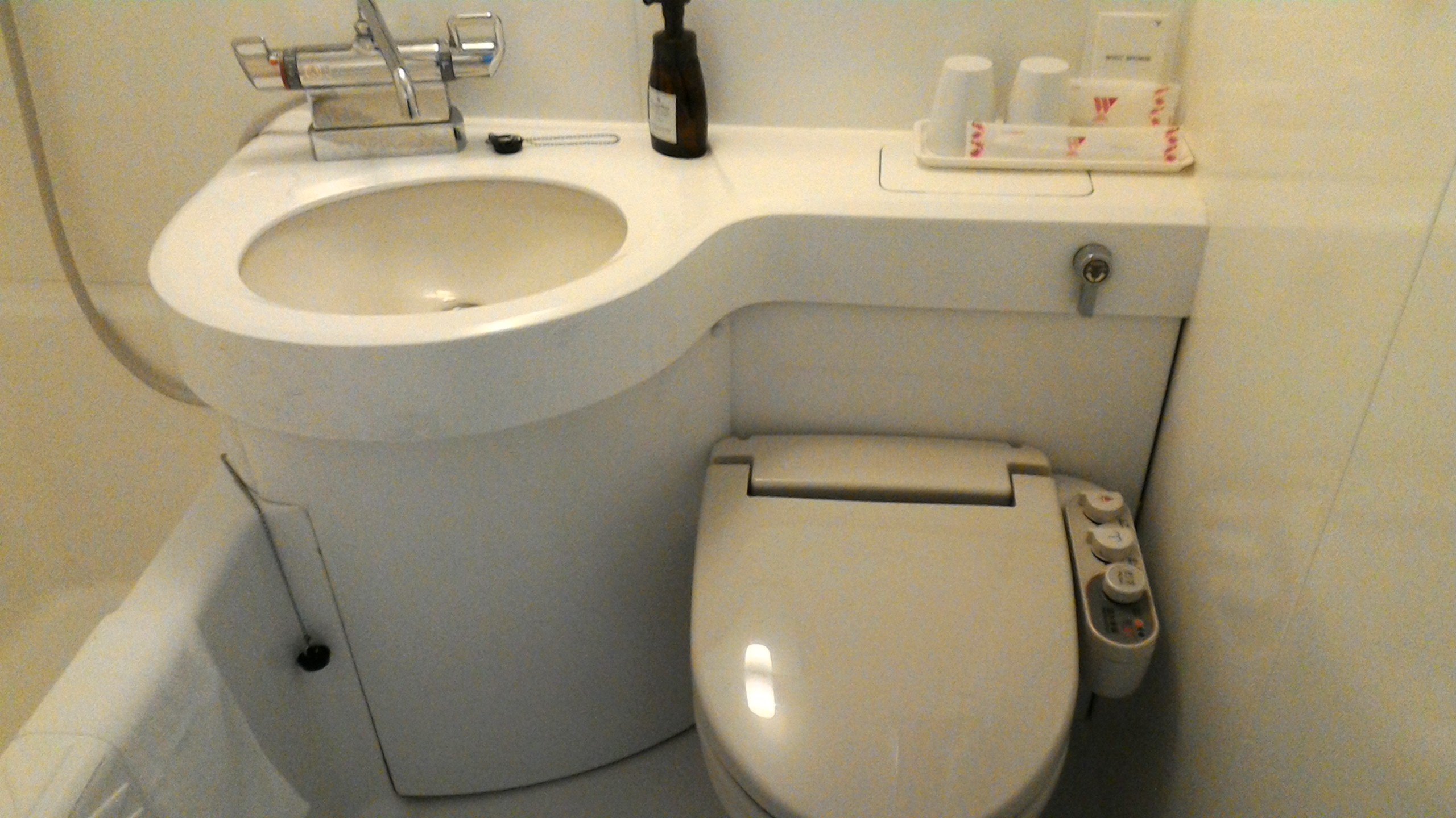 Hotel Wing International Shonan Fujisawa-浴室