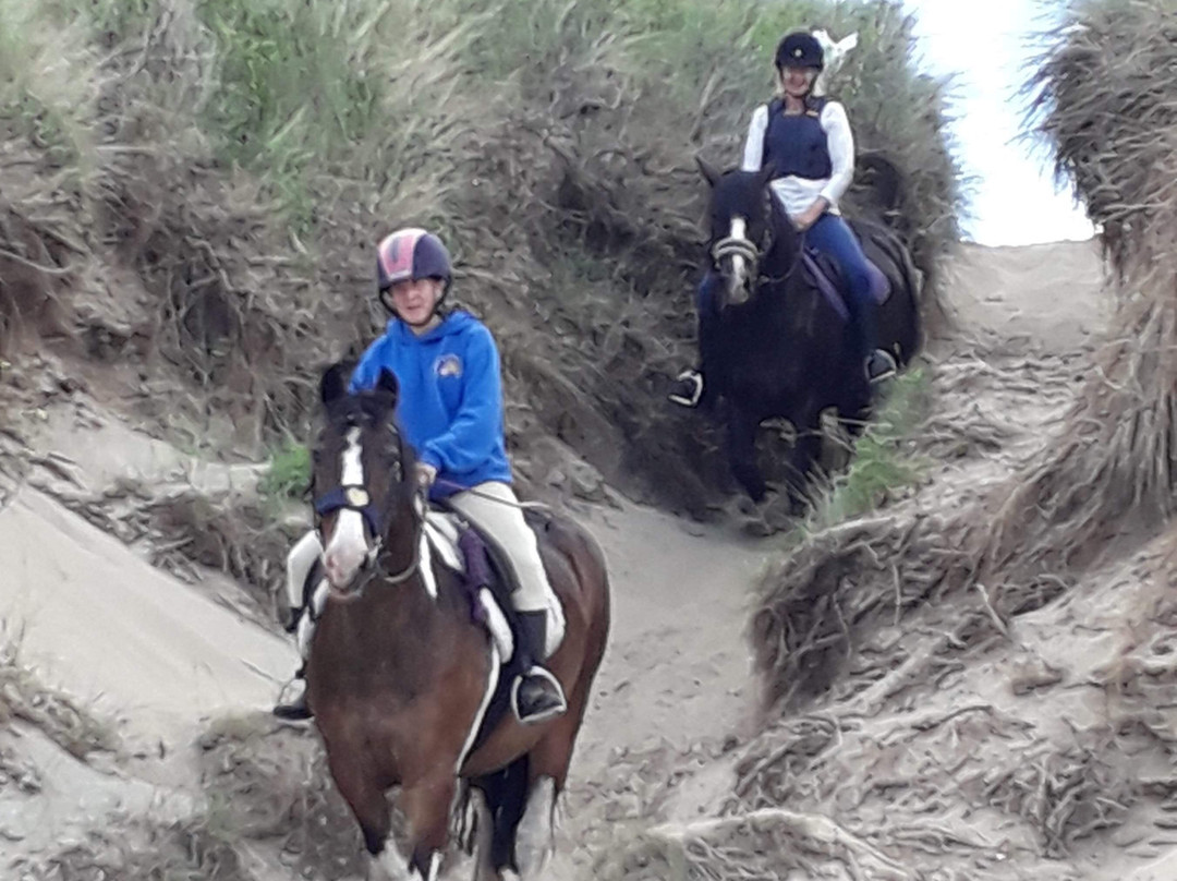 Pembrey Park Riding Centre景点图片