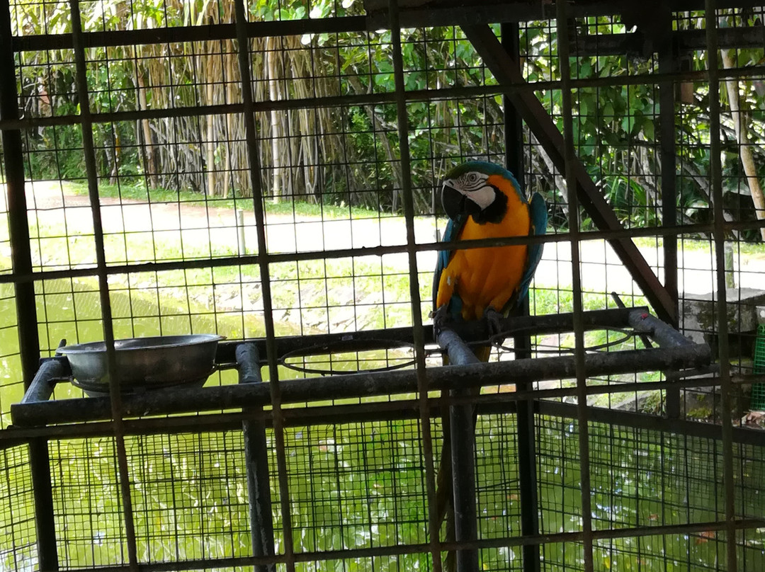 宁静湖精品酒店主图