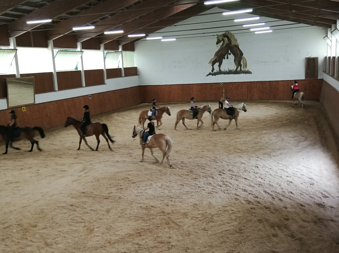 Hotel Haflingerhof主图