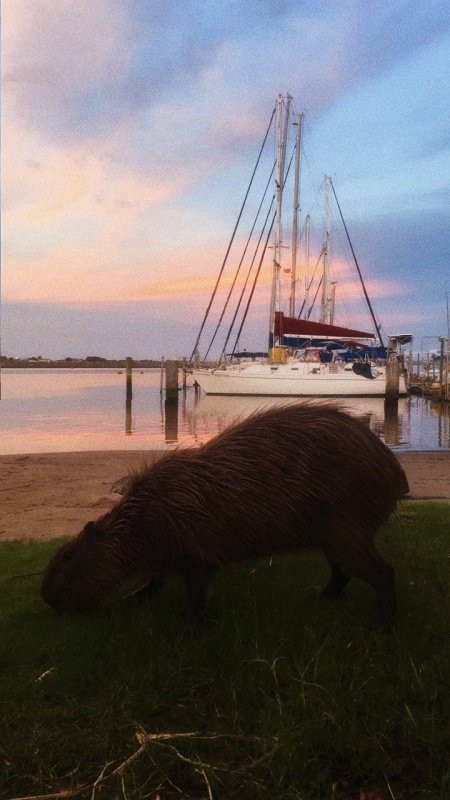 Marina Itajai-Itajai必去景点