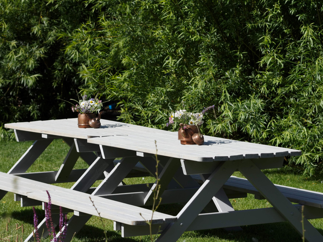 Zanzibar Bed and Breakfast主图