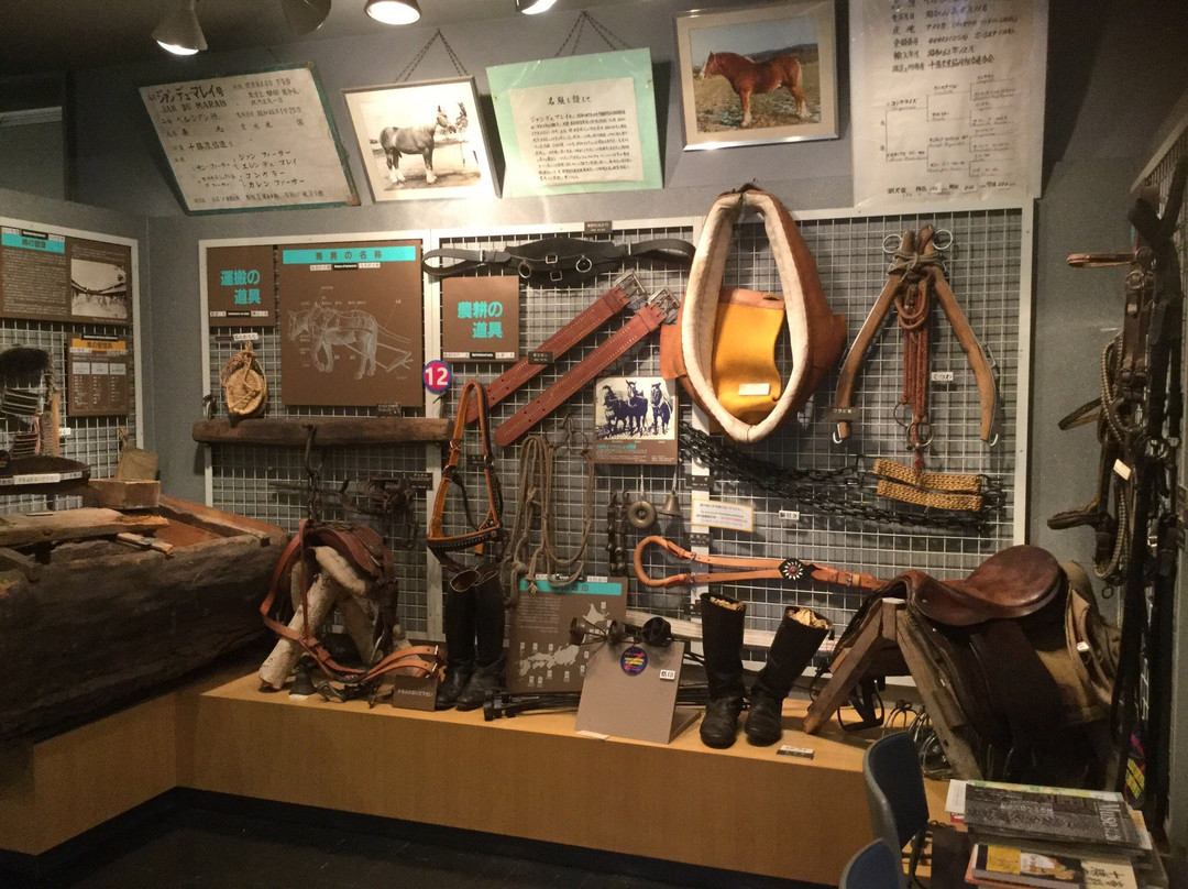 Horse Museum-带广市必去景点