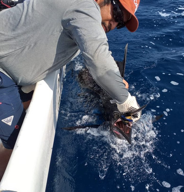 Los Reyes Sportfishing Charters-埃斯孔迪多港必去景点