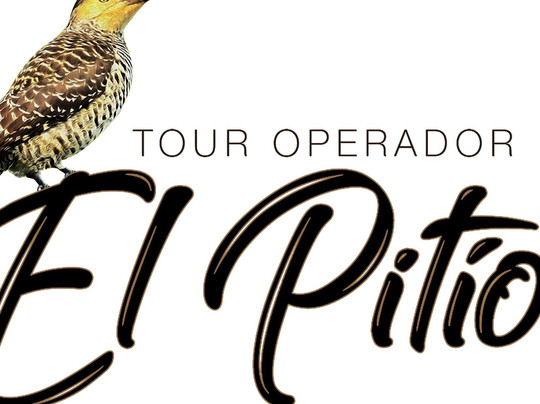 El Pitio Tours