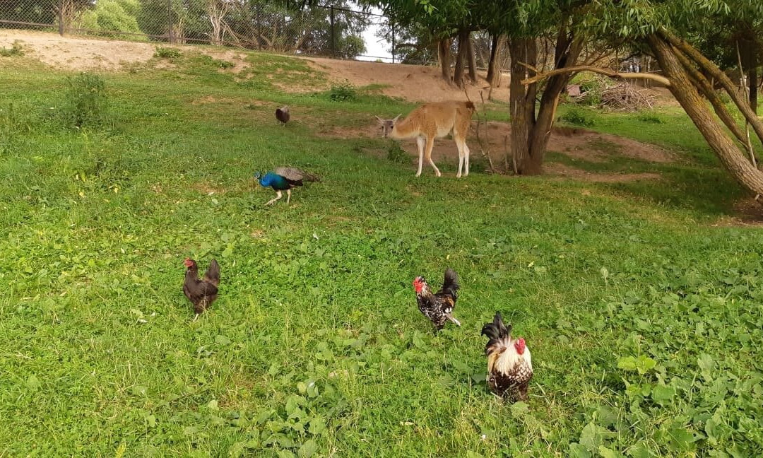 Avanpost-Mozhaysk必去景点