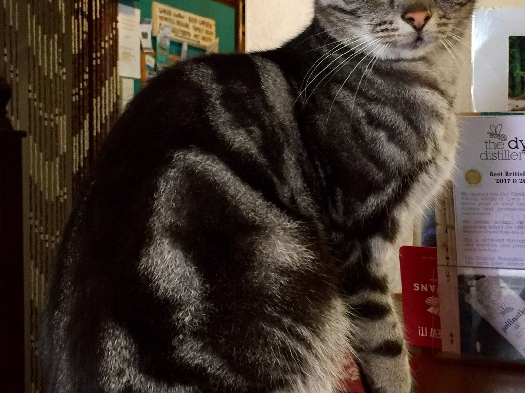 Friendship Inn-Borth必去景点