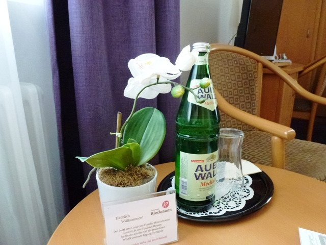 Hotel Rieckmanns Gasthof-官方