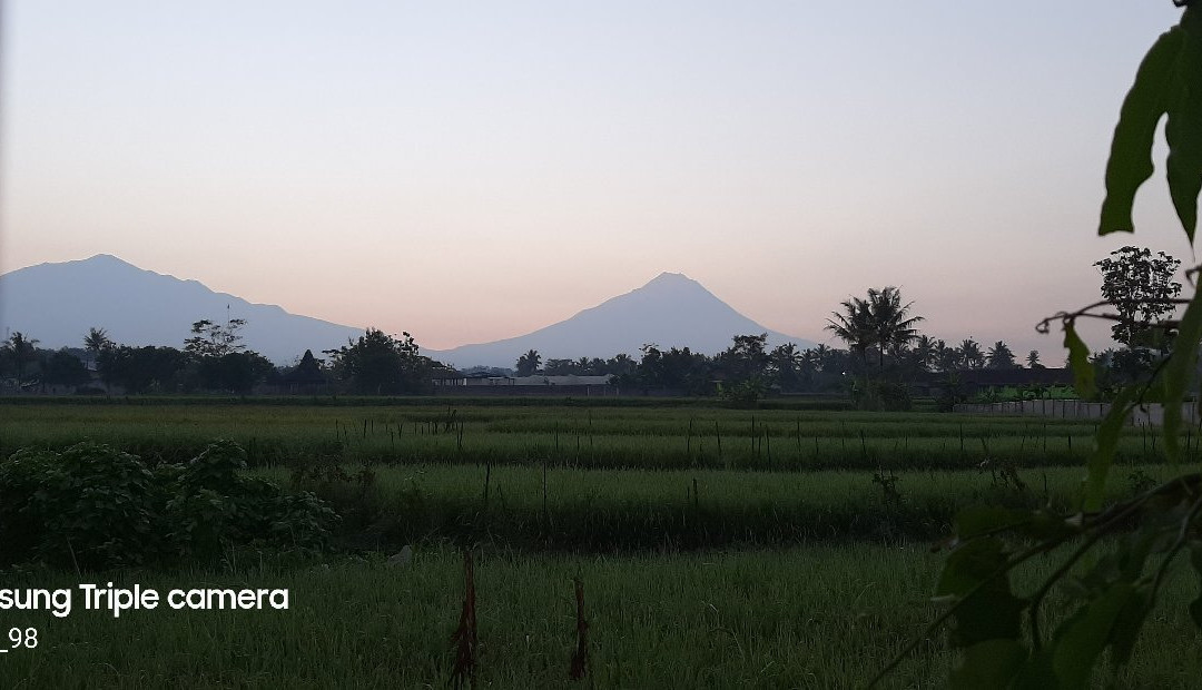 Sevilla Resort主图