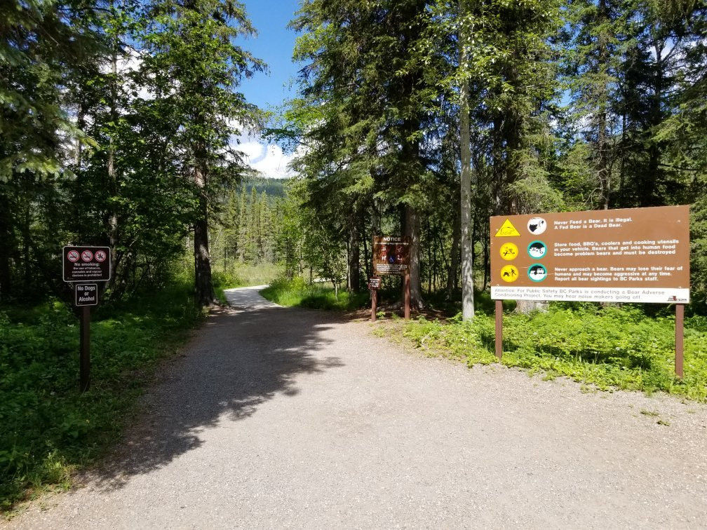 Liard River Hot Springs Provincial Park-不列颠哥伦比亚省必去景点