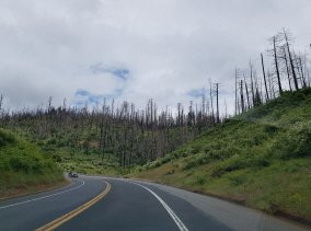 Big Oak Flat Road-格罗夫兰必去景点