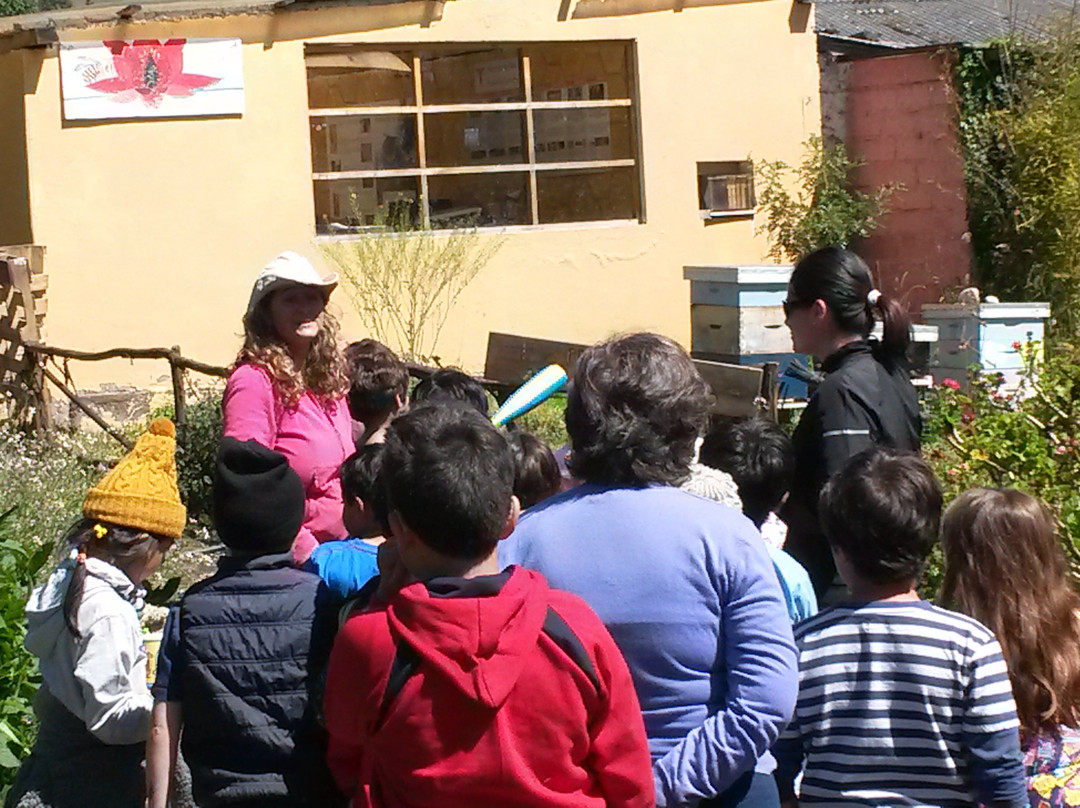 Bee Farm Shunku-Machachi必去景点