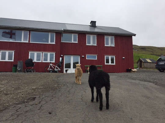 Mykines餐馆和美食-Nidristova