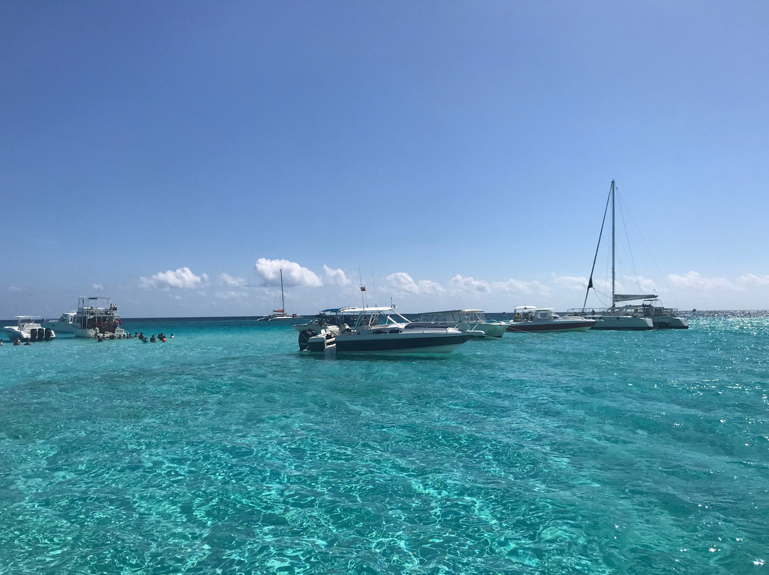 MarineLand Tours-乔治城必去景点