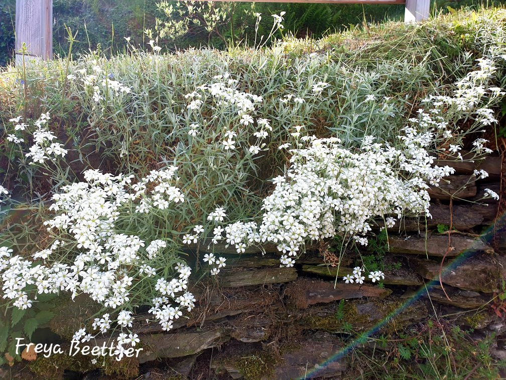 Pension Dorfkrug主图