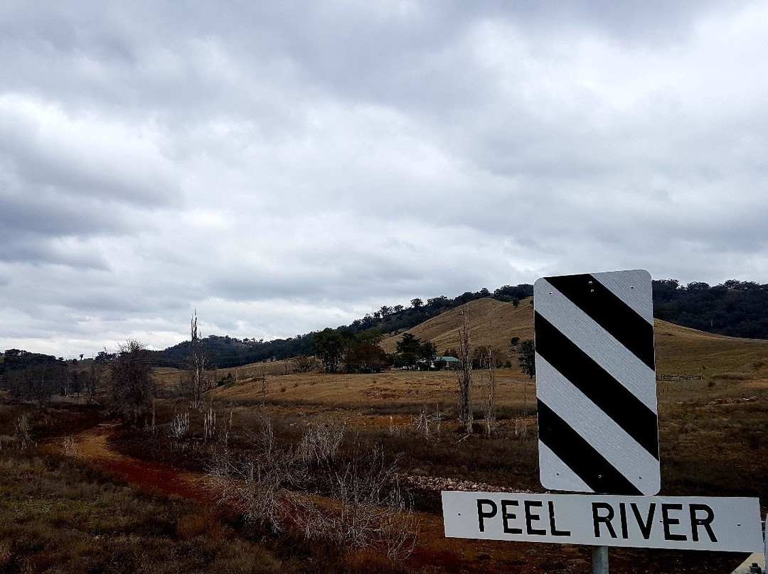 The Great Nundle Dog Race-Nundle必去景点