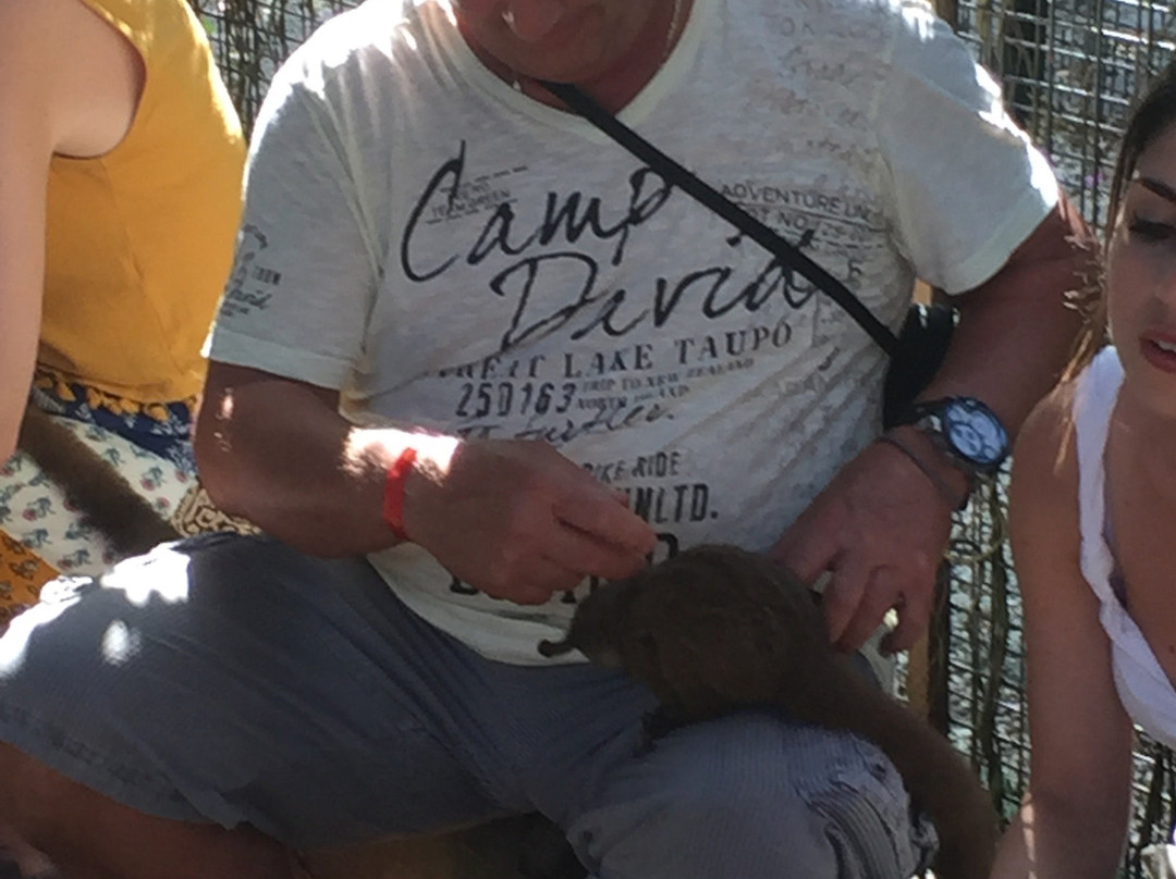 猎豹动物园-桑给巴尔岛必去景点