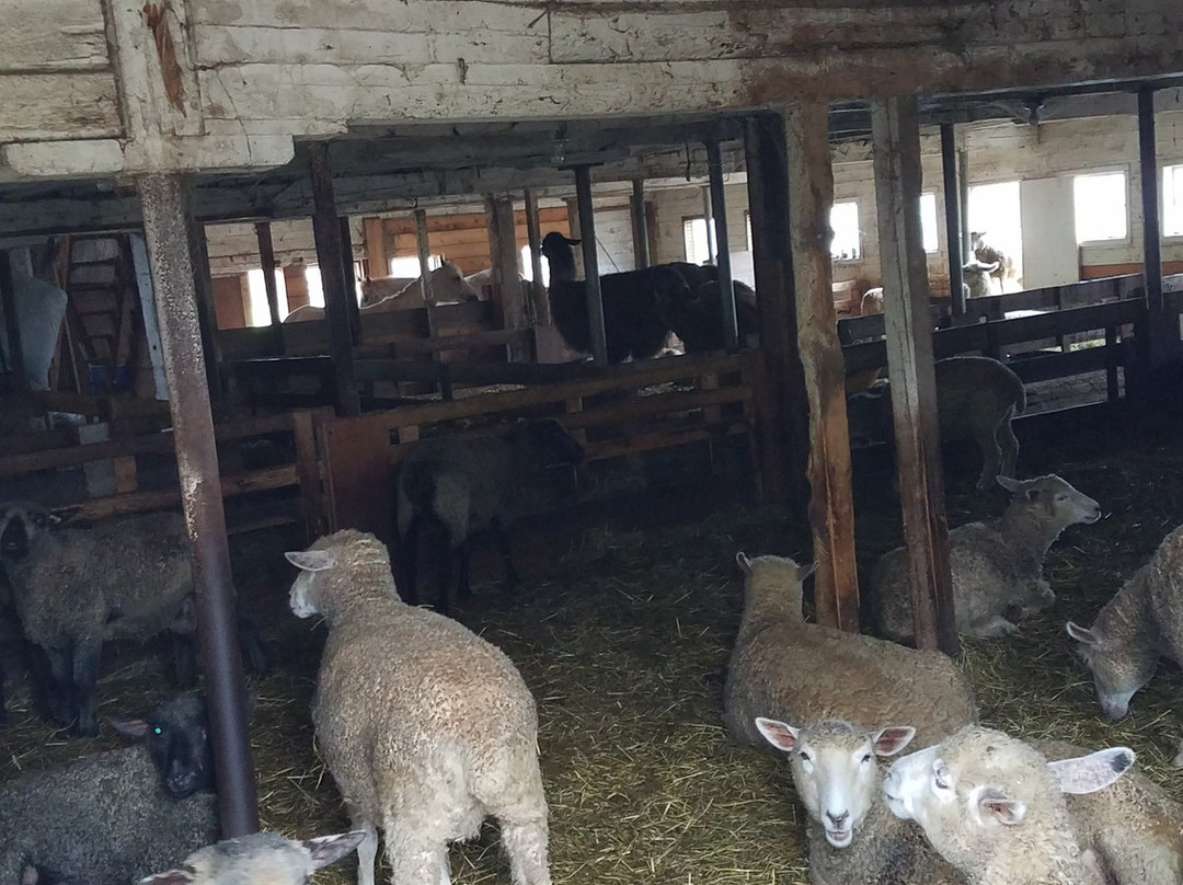 Gaspereau Valley Fibers-Wolfville必去景点