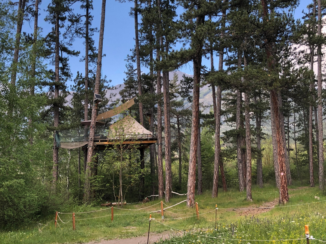 Jungle Lodge