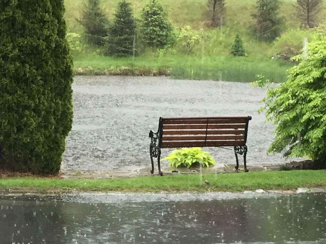 The Village Inns of Blowing Rock: Village Inn主图