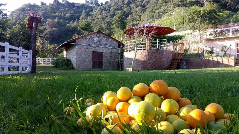 Mill'Envies G. Torre Boulanger