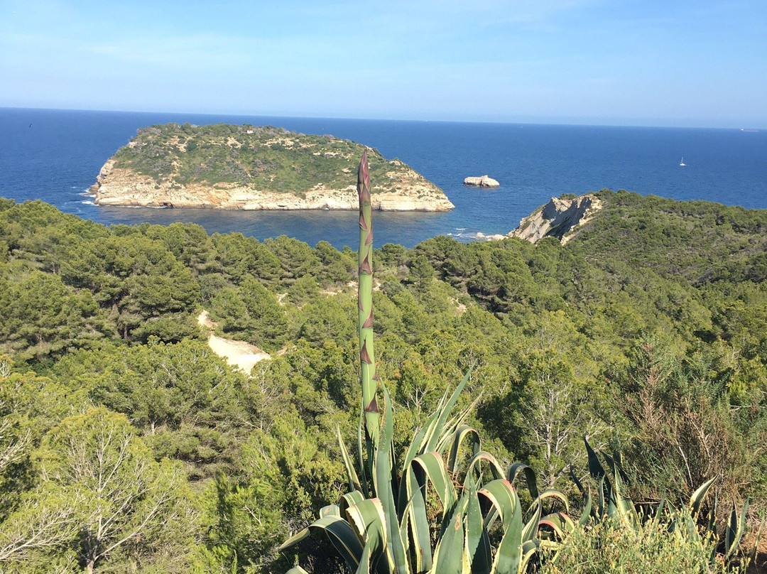 Mirador Cruz del Portixol景点图片